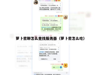 萝卜密聊怎么查找服务器（萝卜密怎么吃）