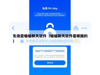 东南亚蝙蝠聊天软件（蝙蝠聊天软件是哪国的）