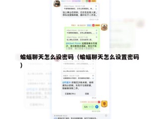 蝙蝠聊天怎么设密码（蝙蝠聊天怎么设置密码）