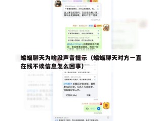 蝙蝠聊天为啥没声音提示（蝙蝠聊天对方一直在线不读信息怎么回事）