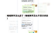 蝙蝠聊天怎么没了（蝙蝠聊天怎么不显示状态）