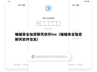 蝙蝠安全加密聊天软件ios（蝙蝠安全加密聊天软件交友）