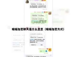 蝙蝠加密聊天是什么意思（蝙蝠加密方式）