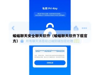 蝙蝠聊天安全聊天软件（蝙蝠聊天软件下载官方）