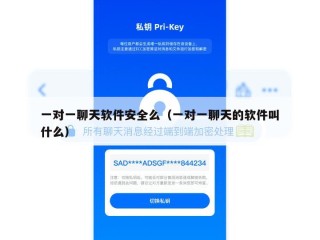 一对一聊天软件安全么（一对一聊天的软件叫什么）