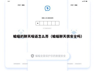 蝙蝠的聊天暗语怎么弄（蝙蝠聊天很安全吗）