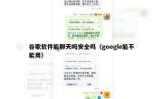 谷歌软件能聊天吗安全吗（google能不能用）
