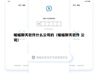 蝙蝠聊天软件什么公司的（蝙蝠聊天软件 公司）