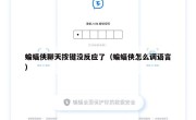 蝙蝠侠聊天按键没反应了（蝙蝠侠怎么调语言）