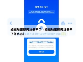蝙蝠加密聊天注册不了（蝙蝠加密聊天注册不了怎么办）