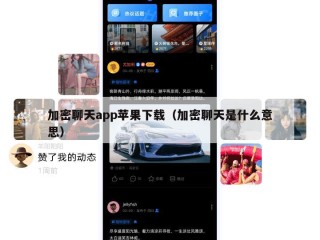加密聊天app苹果下载（加密聊天是什么意思）