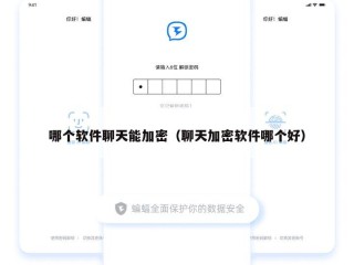 哪个软件聊天能加密（聊天加密软件哪个好）