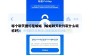 哪个聊天图标是蝙蝠（蝙蝠聊天软件取什么昵称好）