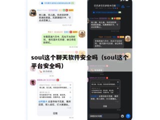 soul这个聊天软件安全吗（soul这个平台安全吗）
