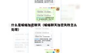 什么是蝙蝠加密聊天（蝙蝠聊天加密失败怎么处理）