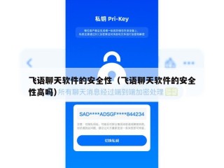 飞语聊天软件的安全性（飞语聊天软件的安全性高吗）