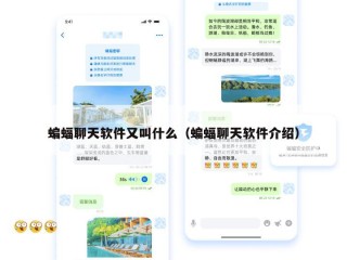 蝙蝠聊天软件又叫什么（蝙蝠聊天软件介绍）