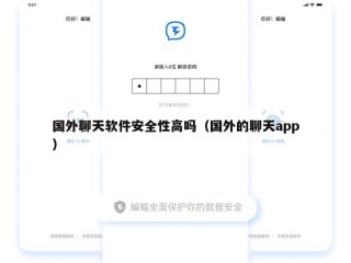 国外聊天软件安全性高吗（国外的聊天app）