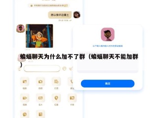 蝙蝠聊天为什么加不了群（蝙蝠聊天不能加群）