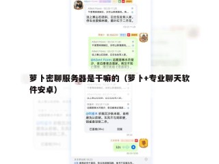 萝卜密聊服务器是干嘛的（萝卜+专业聊天软件安卓）