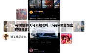 op微信聊天可以加密吗（oppo微信加密在哪设置）