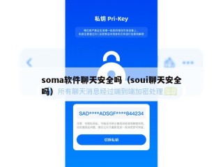 soma软件聊天安全吗（soui聊天安全吗）
