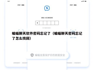 蝙蝠聊天软件密码忘记了（蝙蝠聊天密码忘记了怎么找回）