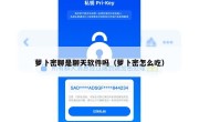 萝卜密聊是聊天软件吗（萝卜密怎么吃）