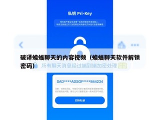 破译蝙蝠聊天的内容视频（蝙蝠聊天软件解锁密码）