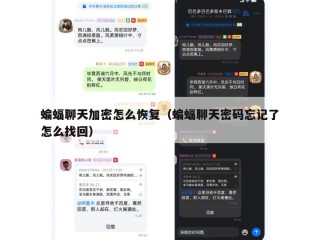 蝙蝠聊天加密怎么恢复（蝙蝠聊天密码忘记了怎么找回）