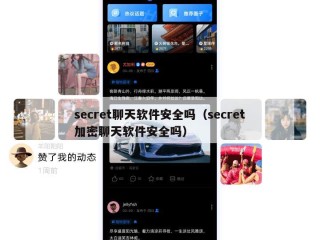 secret聊天软件安全吗（secret加密聊天软件安全吗）