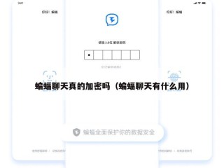 蝙蝠聊天真的加密吗（蝙蝠聊天有什么用）