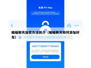 蝙蝠聊天加密方法简介（蝙蝠聊天如何添加好友）