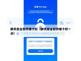 聊天安全软件哪个好（聊天安全软件哪个好一点）