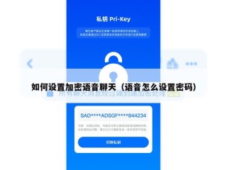 如何设置加密语音聊天（语音怎么设置密码）