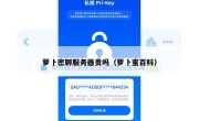 萝卜密聊服务器贵吗（萝卜蜜百科）