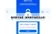 聊天数字加密（聊天数字加密怎么弄）