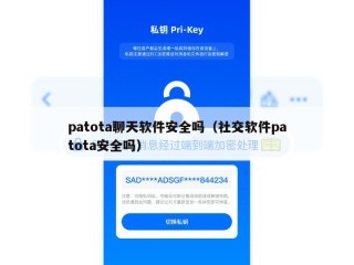 patota聊天软件安全吗（社交软件patota安全吗）