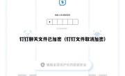 钉钉聊天文件已加密（钉钉文件取消加密）