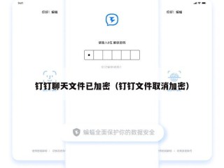 钉钉聊天文件已加密（钉钉文件取消加密）
