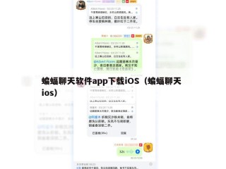 蝙蝠聊天软件app下载iOS（蝙蝠聊天 ios）