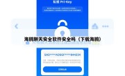 海鸥聊天安全软件安全吗（下载海鸥）
