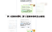 萝卜密聊挣钱吗（萝卜密聊挣钱吗怎么赚钱）