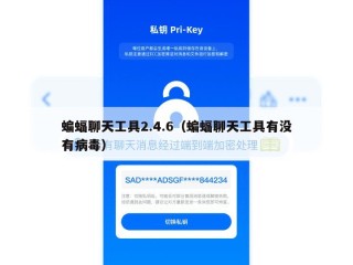 蝙蝠聊天工具2.4.6（蝙蝠聊天工具有没有病毒）