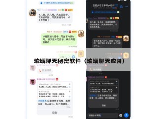 蝙蝠聊天秘密软件（蝙蝠聊天应用）
