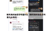 聊天用的加密符号是什么（聊天用的加密符号是什么样的）