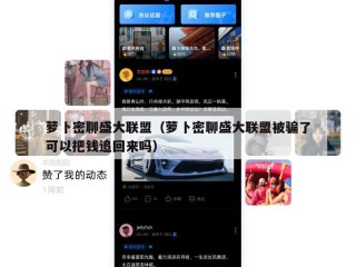 萝卜密聊盛大联盟（萝卜密聊盛大联盟被骗了可以把钱追回来吗）