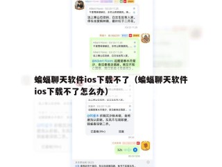 蝙蝠聊天软件ios下载不了（蝙蝠聊天软件ios下载不了怎么办）