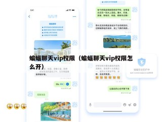 蝙蝠聊天vip权限（蝙蝠聊天vip权限怎么开）