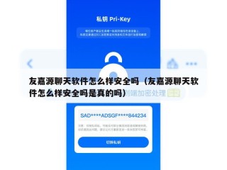 友嘉源聊天软件怎么样安全吗（友嘉源聊天软件怎么样安全吗是真的吗）
